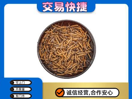 厦门海沧区礼品回收虫草.jpg